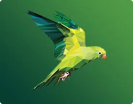 满冠体育